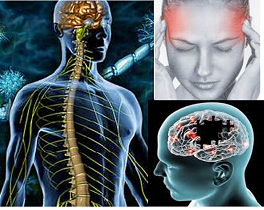 Neurological